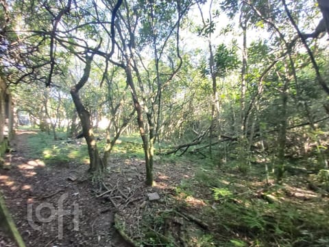 Image 47 - 239663